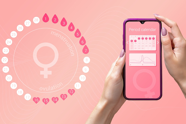 Identifying ovulation by tracking the menstrual cycle may help manage symptoms