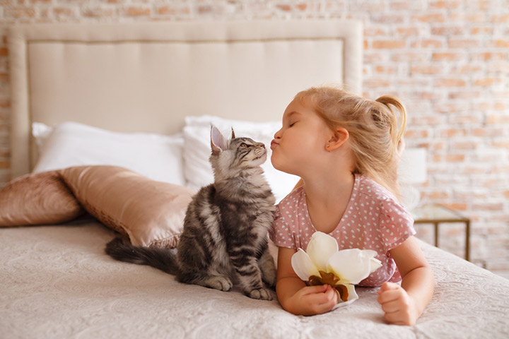Pets Can Alleviate Loneliness