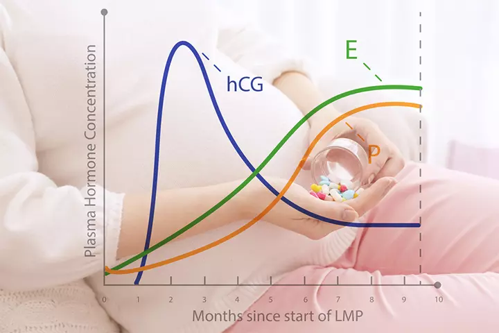 Role of HCG before and during pregnnacy