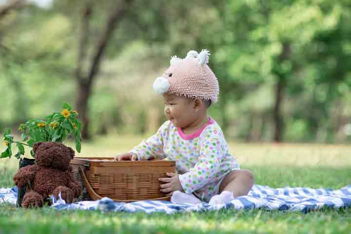 Teddy-bear-picnic