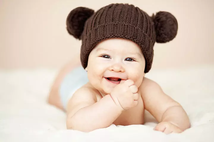 Teddy