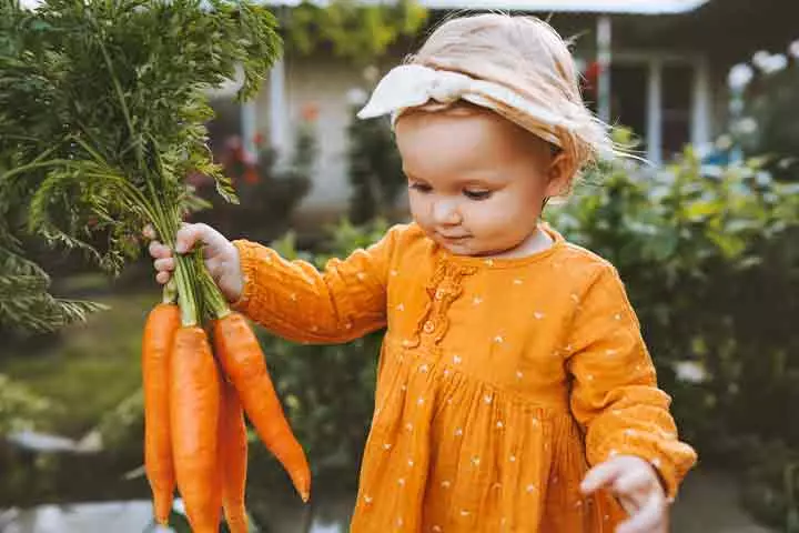 Tiny-gardener