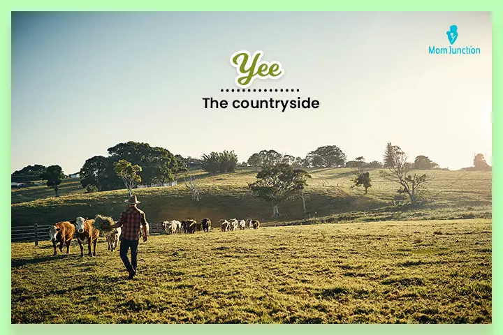 Yee means the countryside