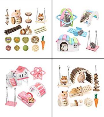11 Best Toys For Hamsters To Play In 2026, Expert-Reviewed