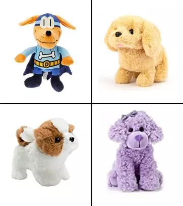 17 Best Toy Dogs For Kids To Buy In 2024