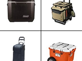 14 Best Wheeled Coolers For Refreshments In 2024: Reviews