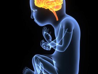 Fetal Brain Development: Timeline And Ways To Nurture It