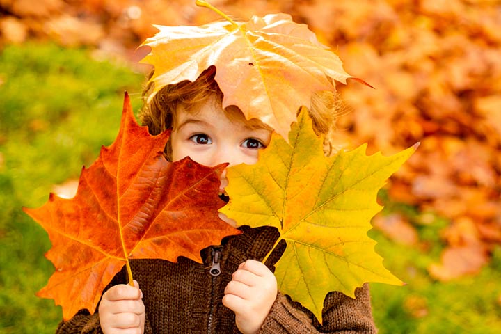 Fall leaf matching game for toddlers