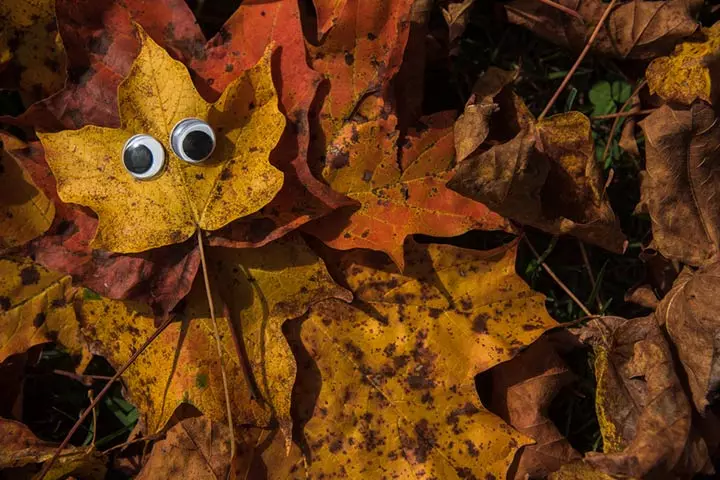 Fall leaf monster activity for toddlers