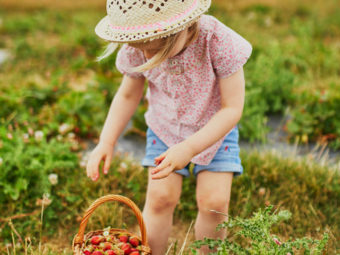 20 Farm Activities For Preschoolers And Toddlers