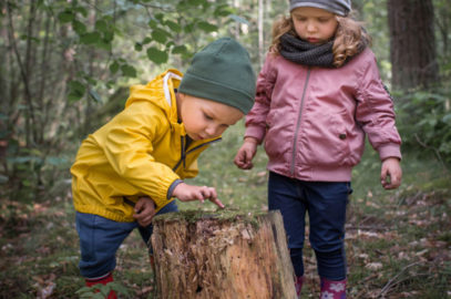 20 Best Indoor And Outdoor Toddler Scavenger Hunt Ideas
