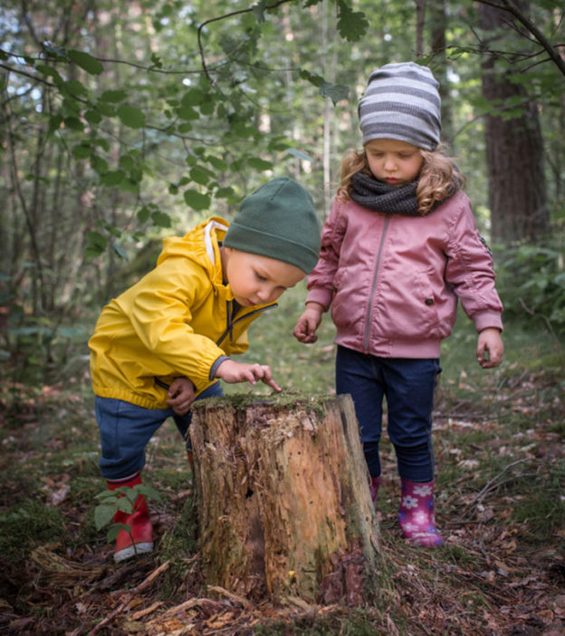 20 Best Indoor And Outdoor Toddler Scavenger Hunt Ideas