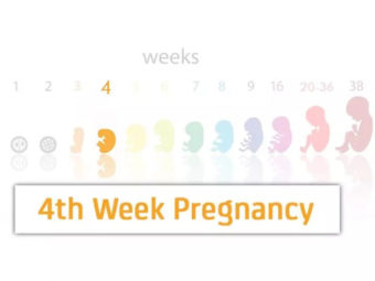 4th Week Pregnancy: Symptoms, Body Changes And Tips To Follow