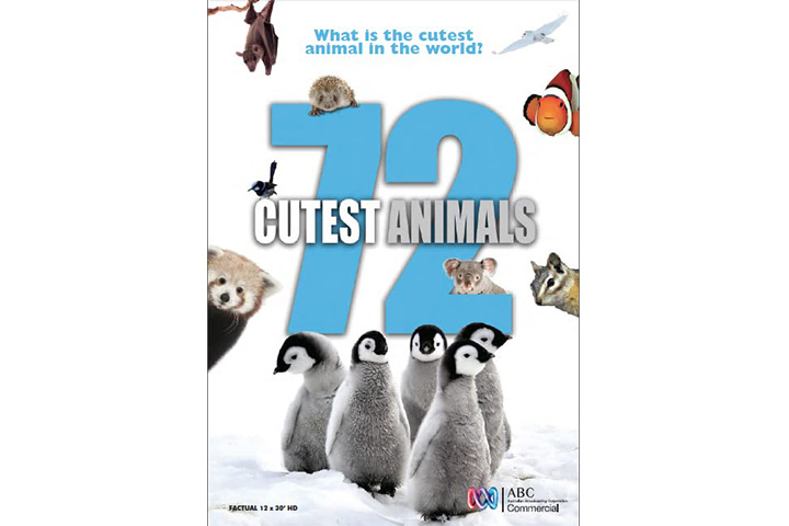 72 Cutest animals