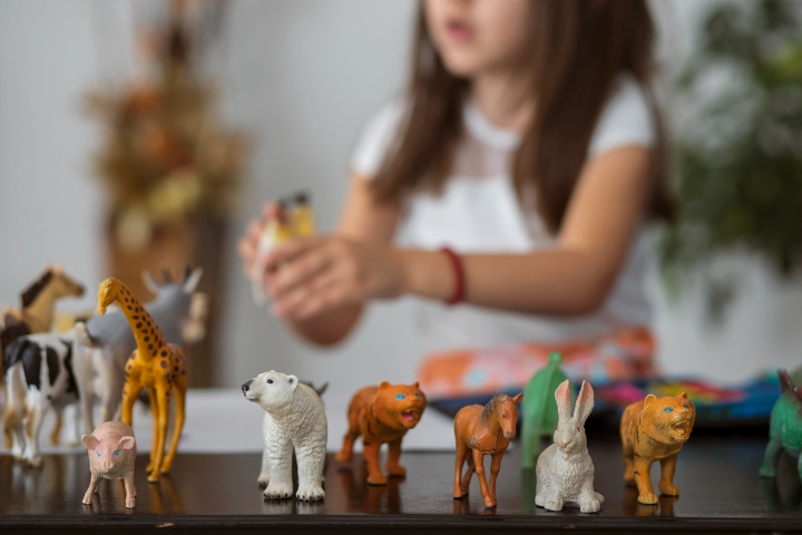 Ask your child to sort farm and non-farm animal toys