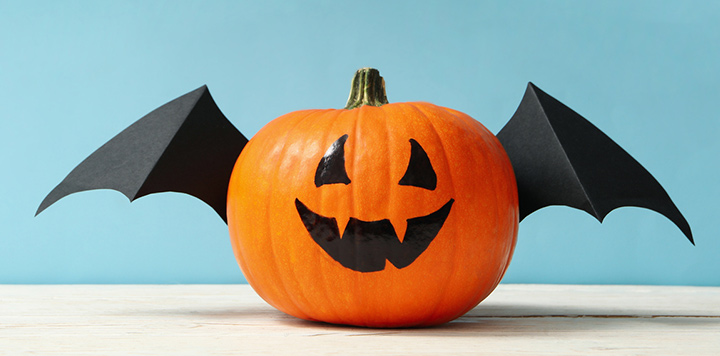 Bats on pumpkin