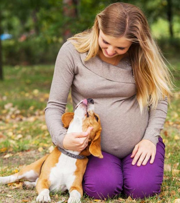 Do Dogs Know When You Are Pregnant?