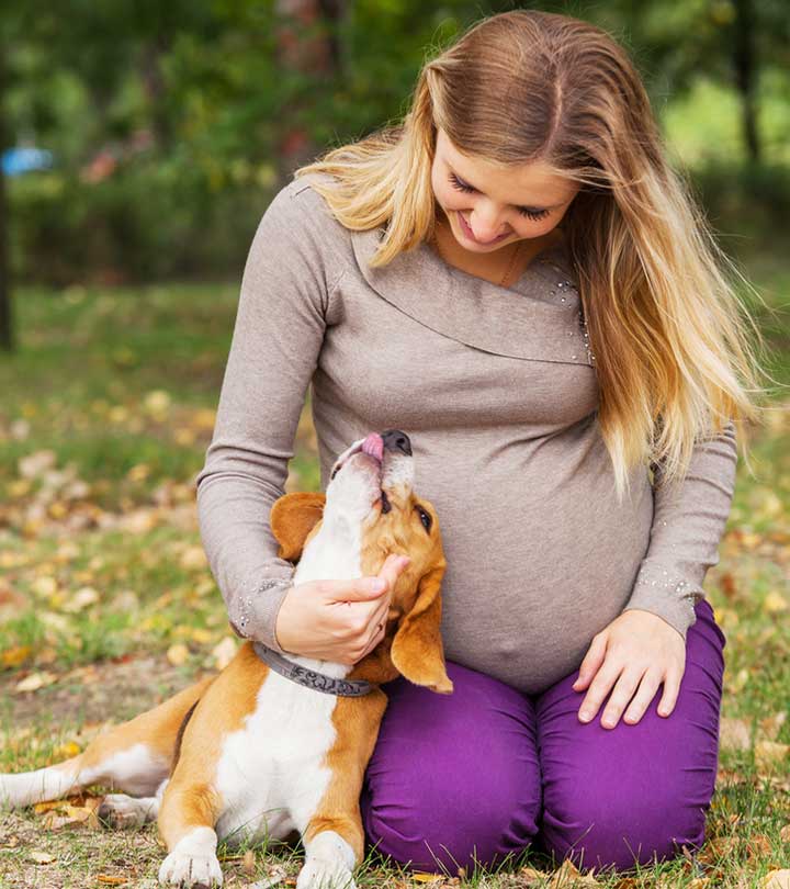 can-dogs-sense-pregnancy-in-human-beings-aboobaby