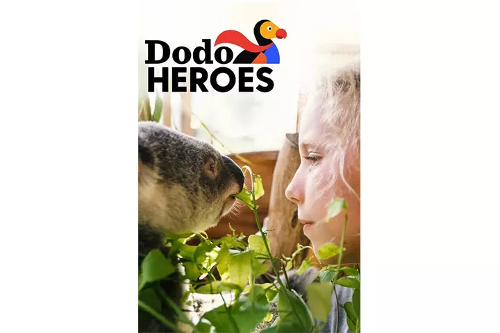 Dodo Heroes