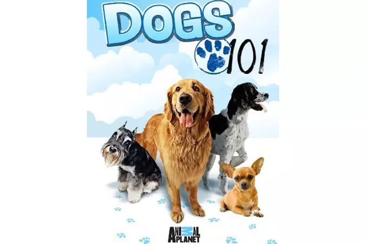 Dogs 101