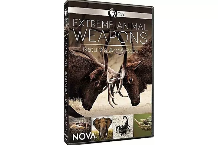 Extreme Animal Weapons