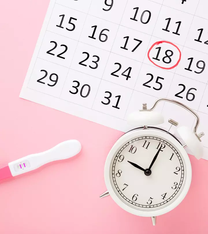 How Long Does Ovulation Last Each Month