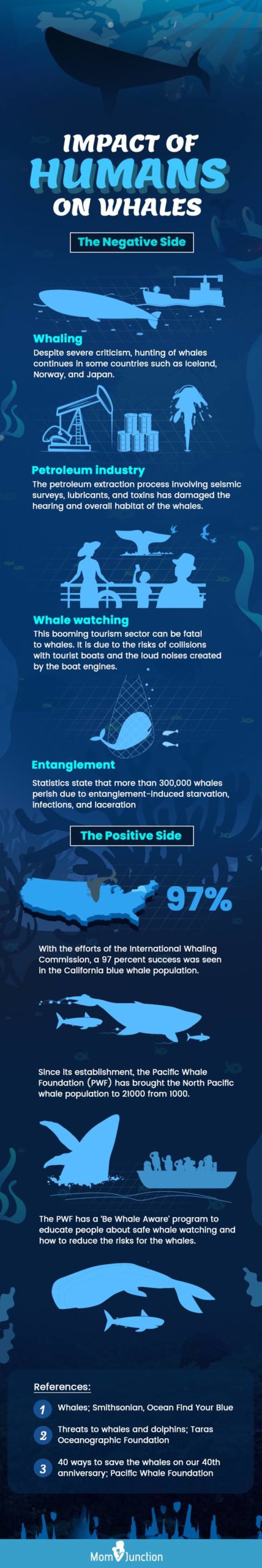 impact of humans on whales (infographic)