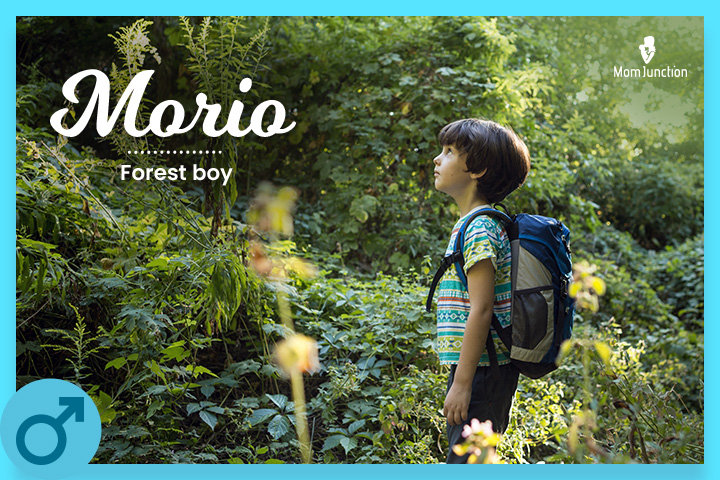 Morio, names that mean forest