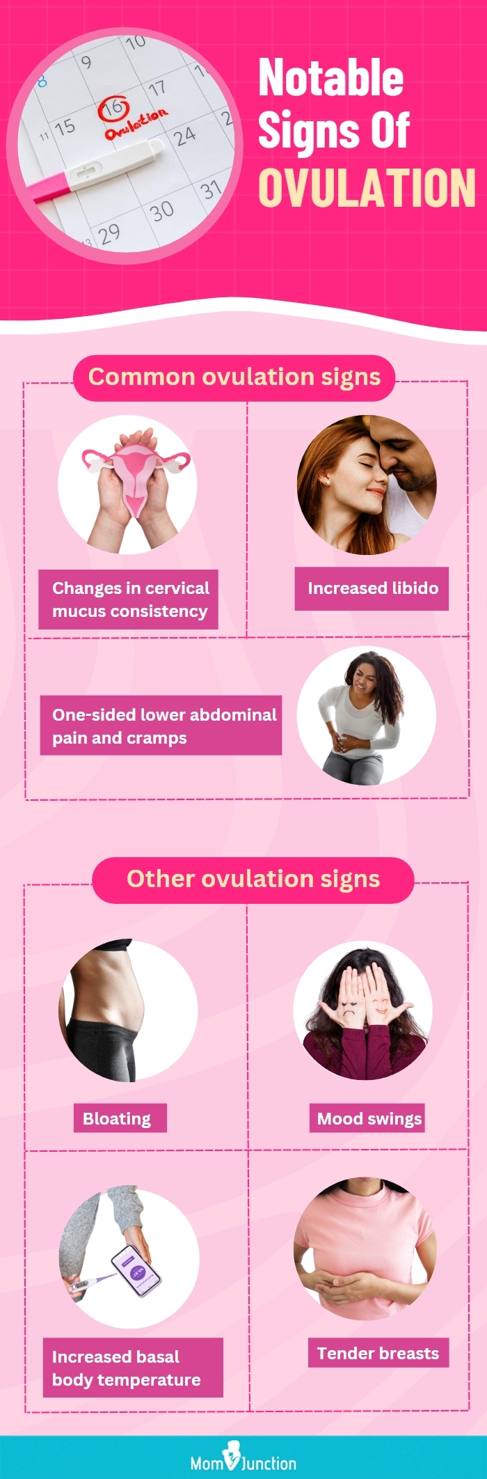 notable signs of ovulation (infographic)