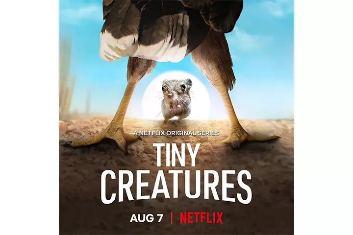 Tiny Creatures