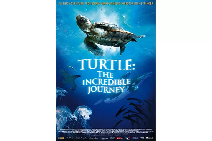 Turtle: The Incredible Journey