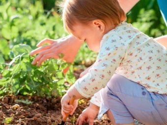40 Easy Spring Activities For Preschoolers And Toddlers