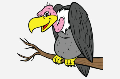 बूढ़े गिद्ध की सलाह की कहानी | Old Vulture Advice Story In Hindi