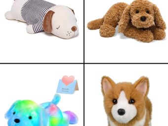 11 Best Dog Stuffed Animals In 2024 And A Buyer’s Guide