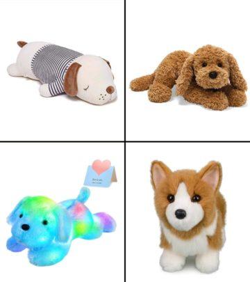 11 Best Dog Stuffed Animals In 2026, With A Buyer’s Guide