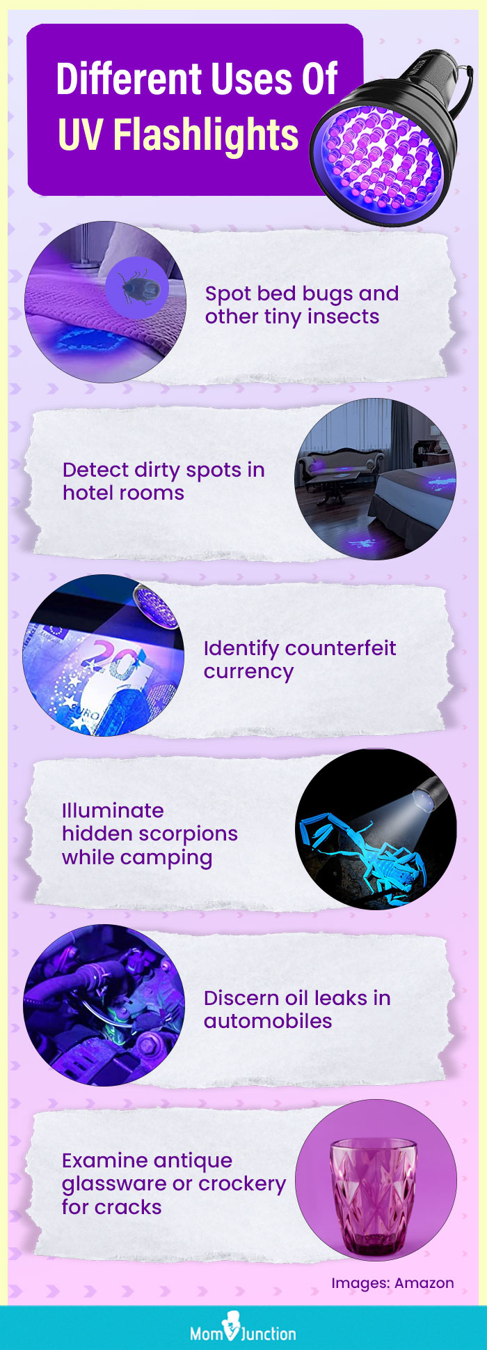 Different Uses Of UV Flashlights(infographic)
