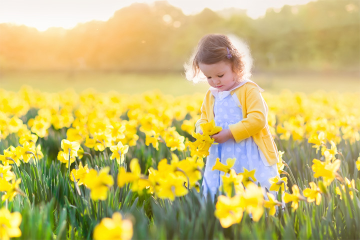 The Birth Flower Is Daffodil