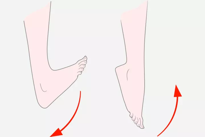 Ankle rotation