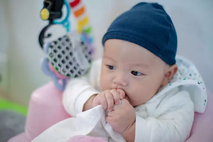 Is Shirt Chewing A Concern