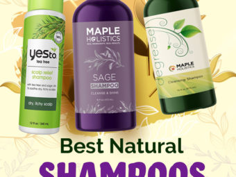 10 Best Natural Shampoos For Dry Scalp In 2022
