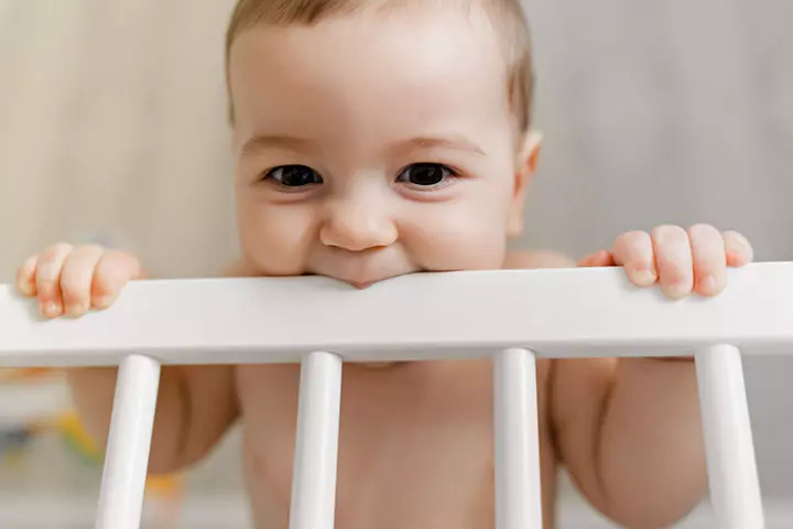 More Biting And Gnawing