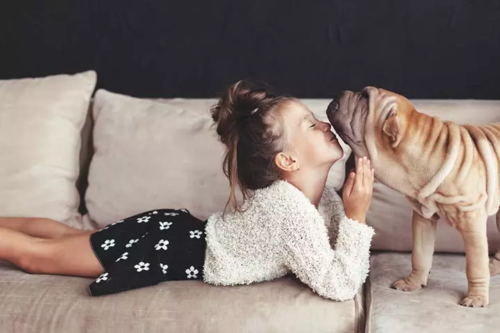 Use The Pets