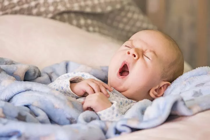 Begin Training Through The Day