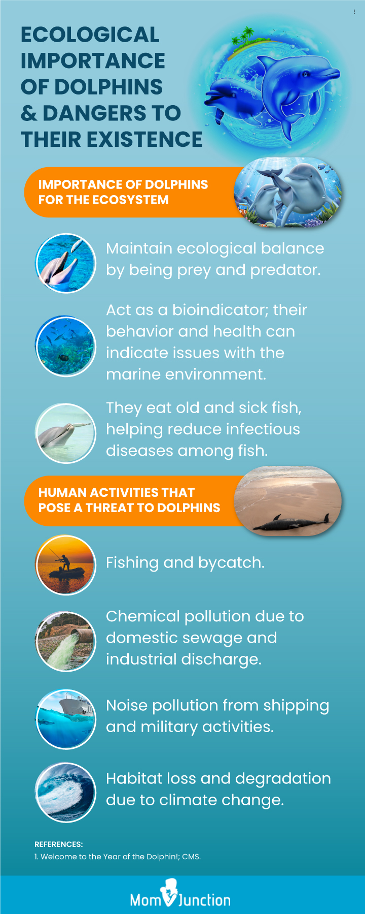 ecological importance of dolphins and dangers to their existence (infographic)