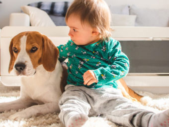 7 Ways How Kids Benefit From Having A Dog Companion