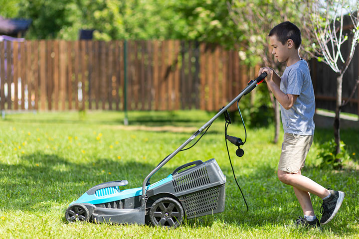 Letting Them Mow Your Lawn