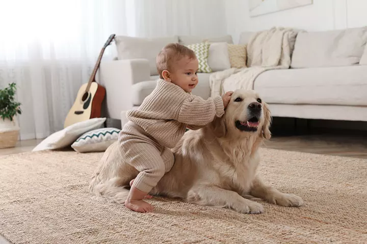 They Feel Supported