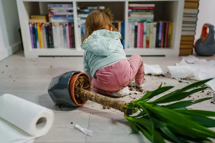 This Is Their Effective Way Of Exploring The World