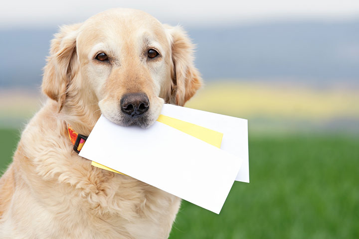 Tie a note to her pet so that it will take your message to her.