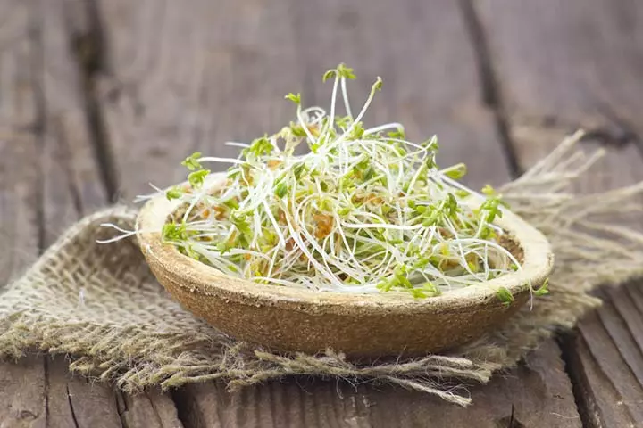 Alfalfa sprouts for breastfeeding mothers